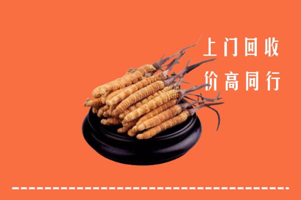 高价求购：东城街回收散虫草