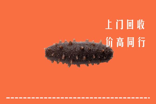 高价求购：东城街回收海参