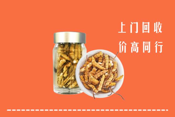 东城街回收冬虫夏草