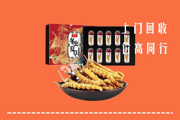 东城街回收虫草